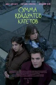 Poster do filme Сумма квадратов катетов