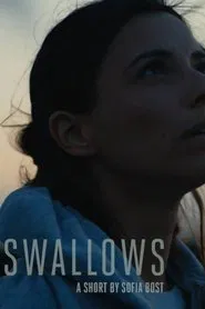 Swallows movie poster