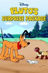 Pluto's Surprise Package movie poster