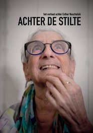 Achter De Stilte movie poster