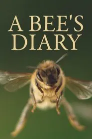 Poster do filme A Bee's Diary