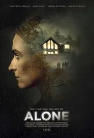 Poster do filme Alone