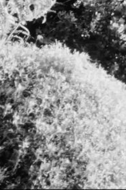 Sketch Film #5 movie poster