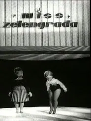 The Beauty Pageant of Greentown movie poster
