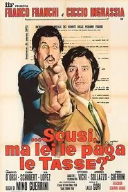 ...Scusi, ma lei le paga le tasse? movie poster
