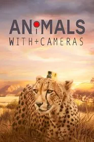 Animals with Cameras tv show poster
