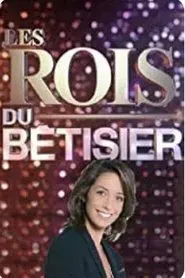 Poster do filme Les Rois du Bêtisier