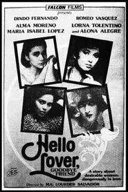 Hello Lover, Goodbye Friend movie poster
