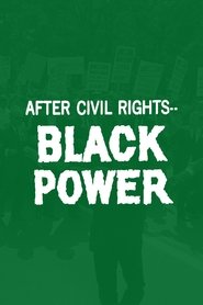Poster do filme After Civil Rights... Black Power