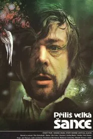 Příliš velká šance movie poster