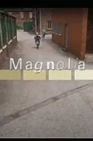 Magnolia movie poster