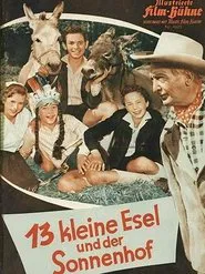 13 Little Donkeys and the Sun Court movie poster