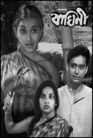 Poster do filme Baghini