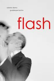 Flash movie poster