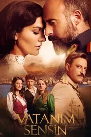 Wounded Love tv show poster