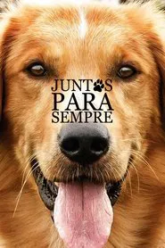 Poster do filme Quatro Vidas de um Cachorro
