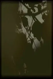 Poster do filme B#O 000001