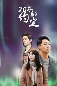 20 years promise tv show poster