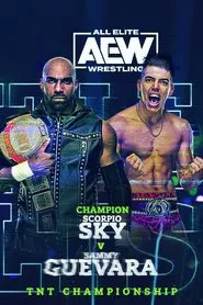 Poster do filme All Elite Wrestling: Battle of the Belts 2