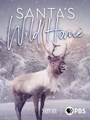 Santa's Wild Home movie poster