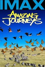 Amazing Journeys movie poster