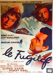 The Fugitive movie poster