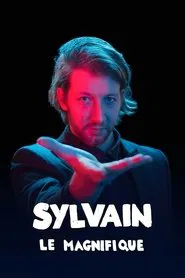 Sylvain le magnifique tv show poster