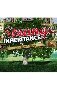 Strange Inheritance tv show poster
