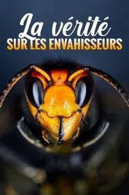 La vérité sur les envahisseurs tv show poster