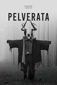 Pelverata movie poster