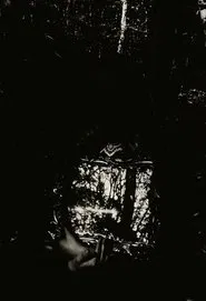 Sympathetic Bodies movie poster