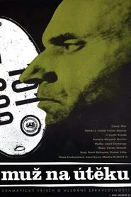 A Man on the Run movie poster
