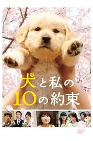 10 Promises to My Dog movie poster