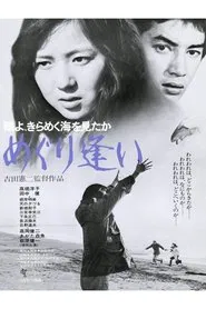 Oh Seagull, Have You Seen the Sparkling Ocean? An Encounter movie poster