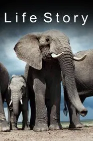 Life Story tv show poster