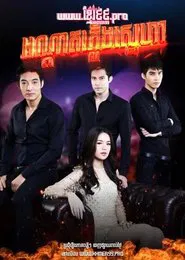 Fire Loves A Vengeful Flame tv show poster