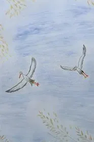 Latvia from a bird's eye view movie poster