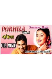Pokhila movie poster