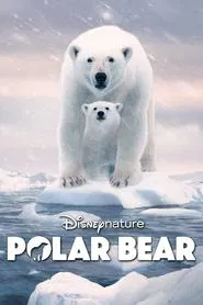 Polar Bear movie poster