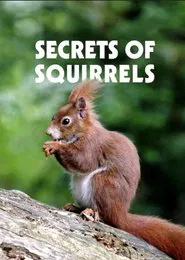 Poster do filme Secrets of Squirrels