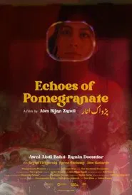 Poster do filme Echoes of Pomegranate