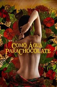 Poster do filme Como Água para Chocolate