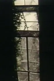 See Through The Shadow Of Darkness movie poster