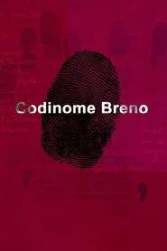 Poster do filme Codinome Breno