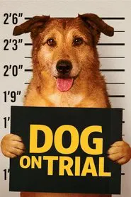 Dog on Trial movie poster