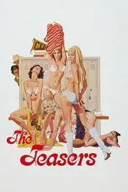 The Teasers movie poster