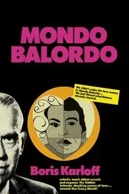 Poster do filme A Fool's World