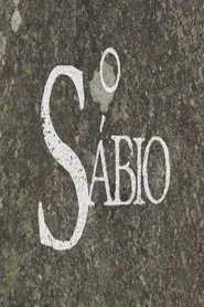 Poster da série O Sábio