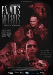 Pájaros negros movie poster