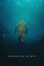 Domingo and the Mist movie poster